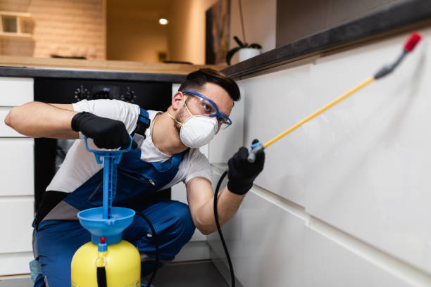 Best Exterminator Services  in Lafayette, OR
