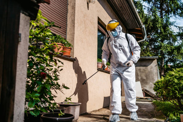 Flea Control Services in Lafayette, OR