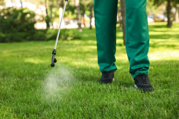 Best Pest Control for Homes  in Lafayette, OR