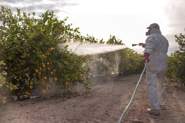  Lafayette, OR Pest Control Pros