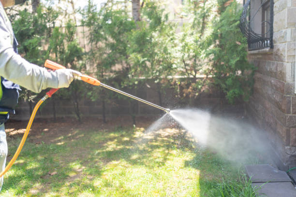 Best Pest Removal Services  in Lafayette, OR