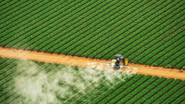 Best Ant Control Services  in Lafayette, OR