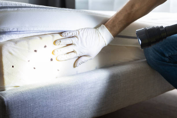 Pest Control Cost in Lafayette, OR