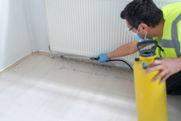 Best Wasp Removal Services  in Lafayette, OR