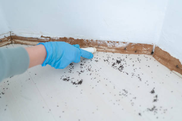 Best Pest Prevention Services  in Lafayette, OR
