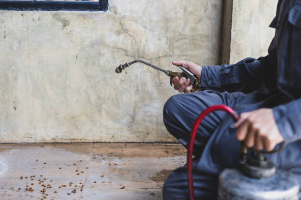 Best Local Pest Control Services  in Lafayette, OR